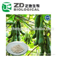 dy herb mucuna pruriens extract 98 l-dopa powder